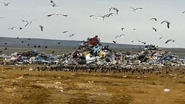 ASKİ'ye 5.1 milyon liralık atık cezası | Genel Haberler