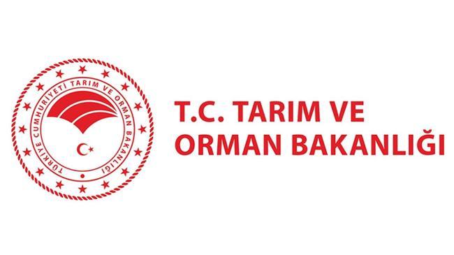 Tarım ve Orman Bakanlığı'ndan 'gerekçesiz tavuk itlafı' iddialarına yalanlama | Genel Haberler