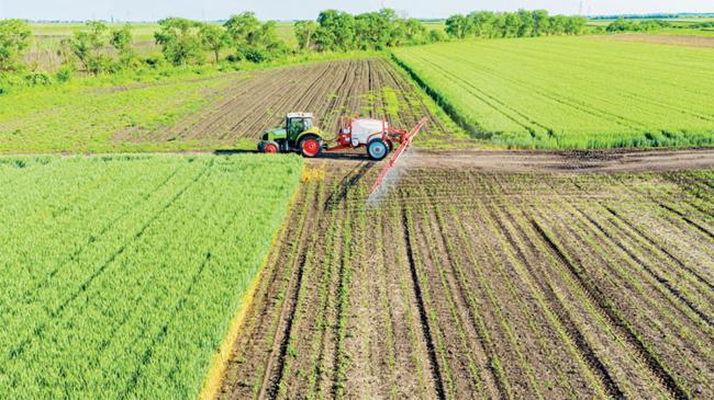 Çiftçinin enflasyonu geriledi | Ekonomi Haberleri