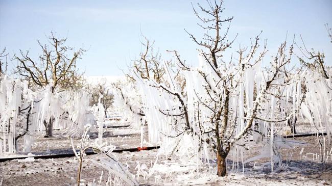 Donda hasar tespit çalışması sürüyor | Ekonomi Haberleri