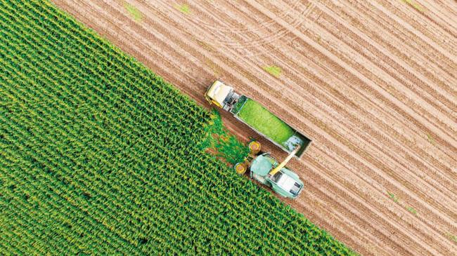 Tarımda 371 hedeflik yol haritası | Ekonomi Haberleri