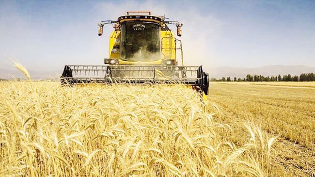 Rekolteye kuraklık ve zirai don gölgesi | Ekonomi Haberleri