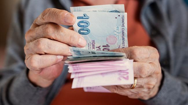 Yaşlı Destek Programı'na başvurular başladı | Ekonomi Haberleri