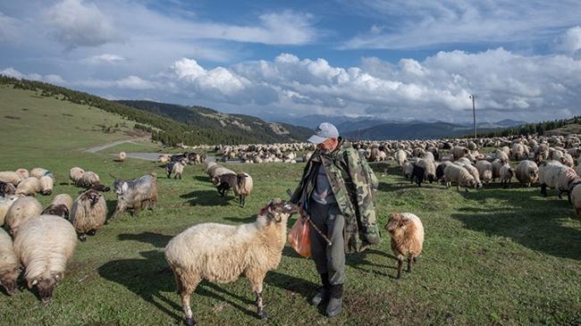 Çiftçilere 3,9 milyarlık destek ödemesi bugün yapılacak | Ekonomi Haberleri