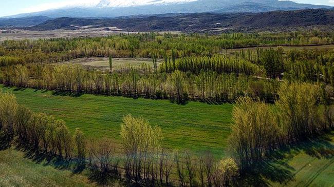 2B arazilerinde tapu süreci nasıl olacak? Detaylar belli oldu | Ekonomi Haberleri