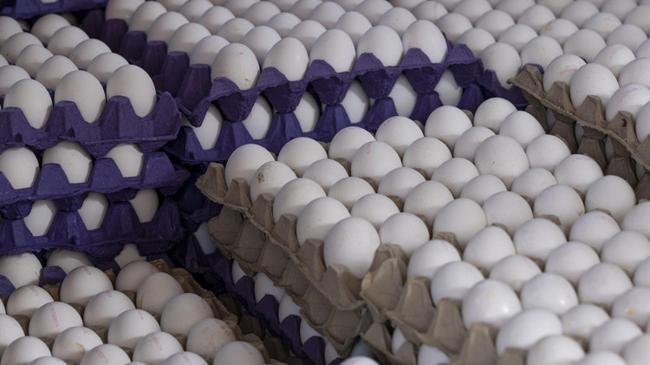 Sofralık yumurta ihracatına muafiyet düzenlemesi | Ekonomi Haberleri