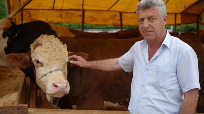 Bayrama sayılı günler kala kurbanlıkların çoğu satıldı | Ekonomi Haberleri