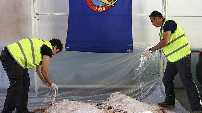 Türk Hava Kurumu deri bağışları için hazırlıklarını tamamladı | Ekonomi Haberleri