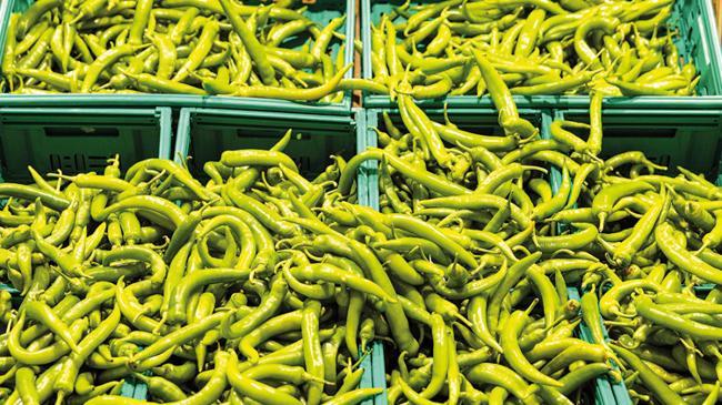 Tarladan sofraya 3.8 kat pahalılık | Ekonomi Haberleri