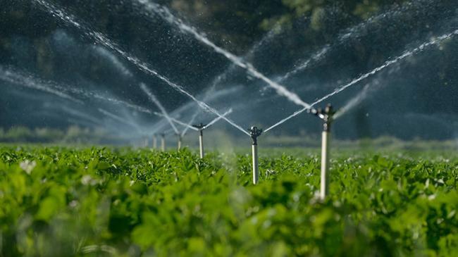 Türkiye'nin sulama altyapısına 757 milyon euro finansman... Bakan Şimşek: İş birliğimiz sürecek | Ekonomi Haberleri