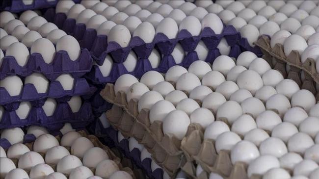 Mayısta fiyatı en çok artan ve düşen ürünler belli oldu | Ekonomi Haberleri