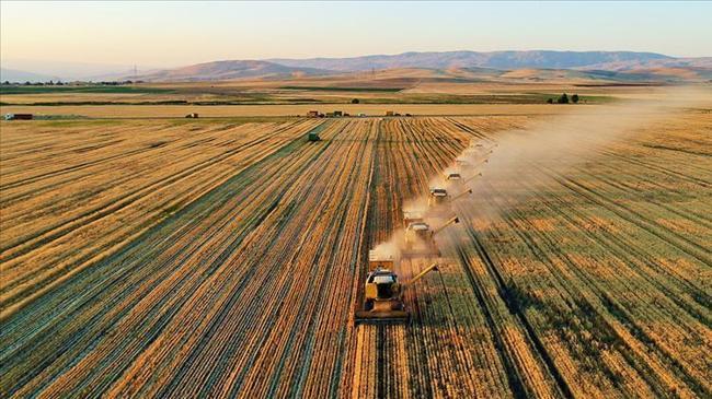 Türksat'tan yapay zeka destekli tarımsal üretim takibi | Ekonomi Haberleri