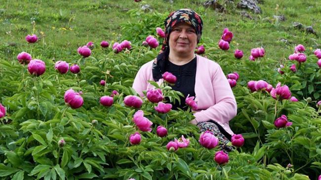 Yılda 10 gün açıyor! Koparmanın cezası yarım milyon | Ekonomi Haberleri