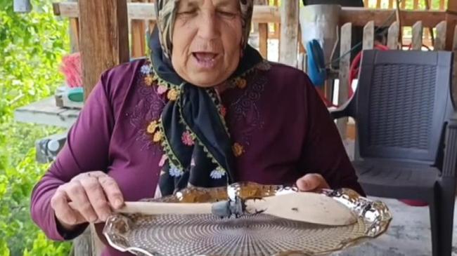 Akademik çalışmalara konu oldu! Öldürene veya satana 557 bin TL ceza | Ekonomi Haberleri