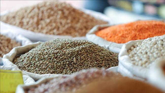 Türkiye'nin hububat ihracatı 5 ayda 5,2 milyar dolar oldu | Ekonomi Haberleri