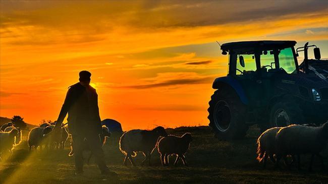 Yabancı çobanlara çalışma izni! Başvurular başladı | Ekonomi Haberleri
