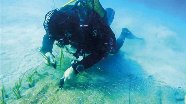 Mavi Nefes’ten müsilaja çare çıktı | Ekonomi Haberleri