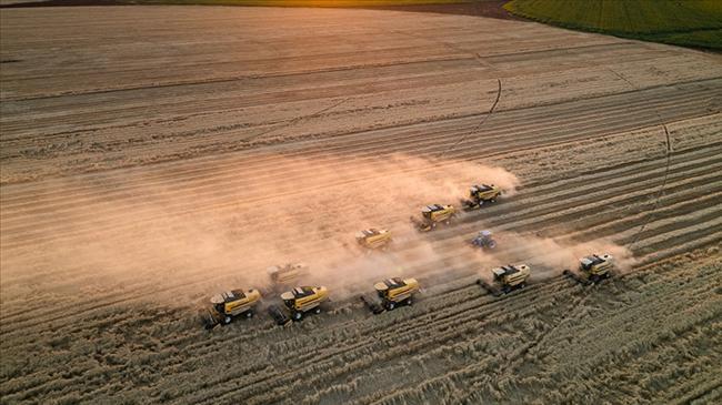 Tarım ÜFE mayısta aylık bazda yüzde 0,23 arttı | Ekonomi Haberleri