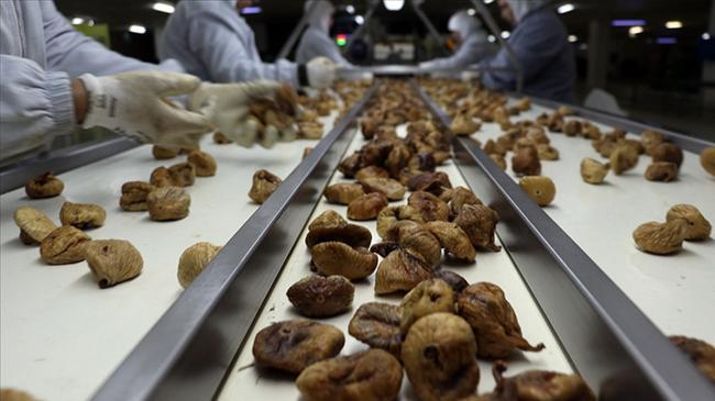 Meyve ve sebzede usulsüz imha için cezai yaptırımlar uygulanacak | Ekonomi Haberleri