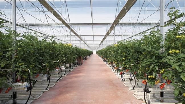 Altun Gıda, Karya Doğal Tarım Üretim ve Seracılık’ı satın aldı | Ekonomi Haberleri