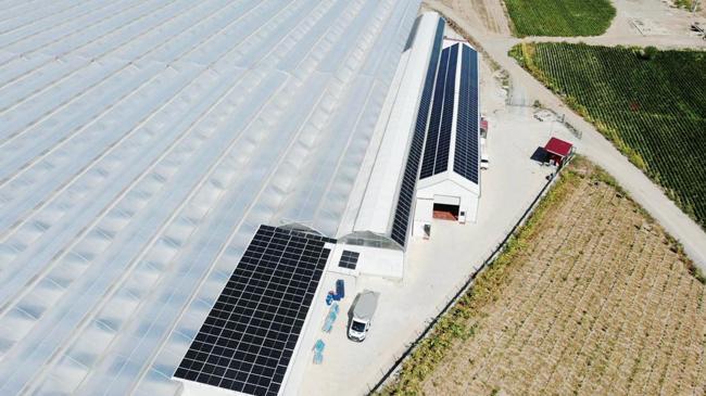 Altun Gıda’dan seracılık hamlesi | Ekonomi Haberleri