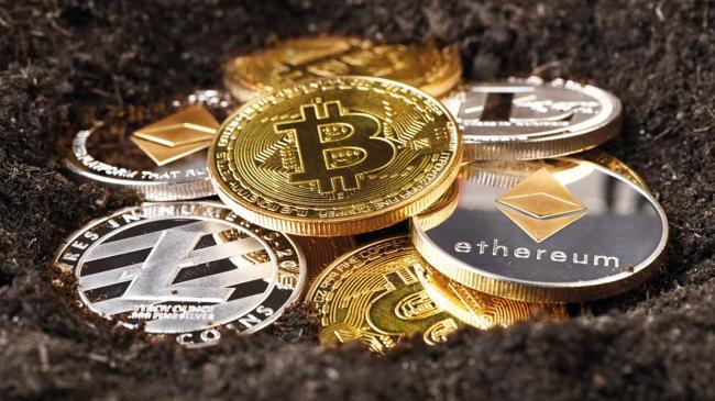 Her 5 kişiden biri kripto varlık sahibi | Ekonomi Haberleri