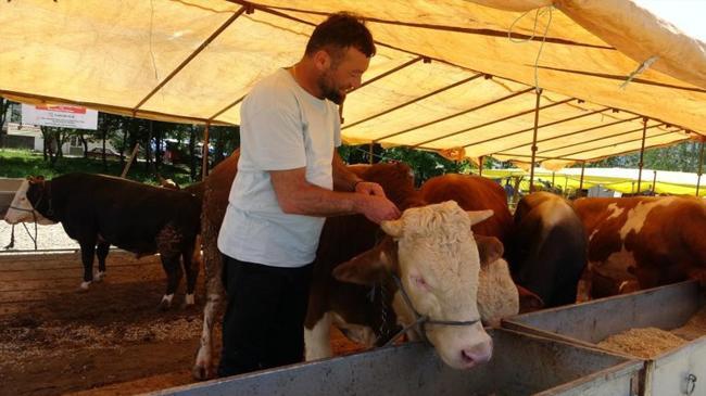 ‘Acele’ koduyla tüm pazarlar kapatıldı! Genetik değişiklik tespit edildi | Ekonomi Haberleri