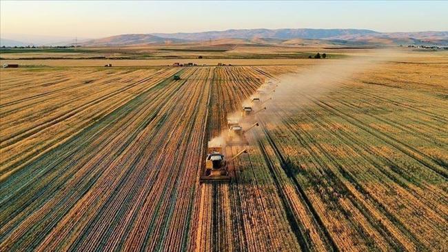 Çiftçilere 42 milyon euroluk destek verilecek | Ekonomi Haberleri