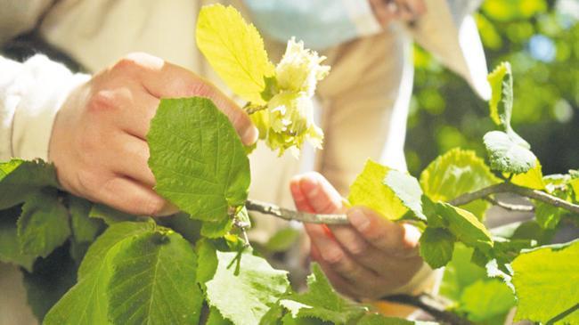 İyi tarım ve iyi sosyal uygulamalara devam | Advertorial Haberler