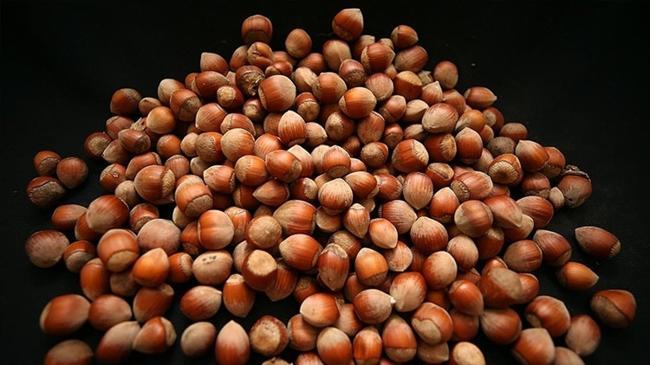 Fındık ihracatından ilk 6 ayda 1,2 milyar dolar gelir | Ekonomi Haberleri