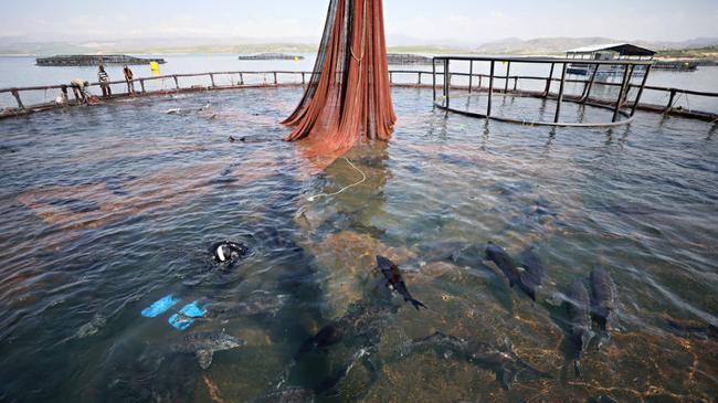 Türk ürünleri ABD'lilerin gözdesi oldu! İhracat 3 katına çıktı | Ekonomi Haberleri