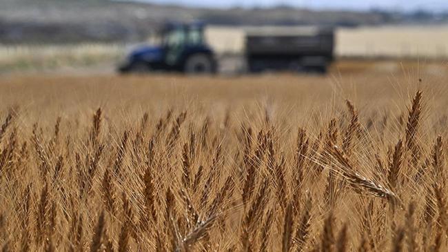 Tarımda yeni rekor! Türkiye artık dünyada ilk 7 arasında | Ekonomi Haberleri