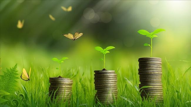Yeşil dönüşüm stratejisi çerçevesinde tesis bazında yürütülecek yeşil dönüşüm uygulamalarını içeren yol haritası yatırımcının kendisi tarafından düzenlenebilecek.