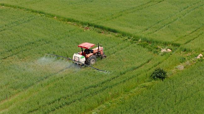 Buğday için iş birliği ilk sonuçlarını verdi | Ekonomi Haberleri