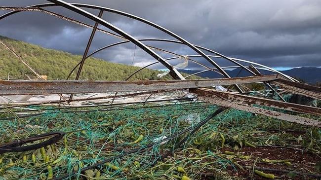 Doğal afetlerden etkilenen çiftçiler için borç erteleme talebi | Ekonomi Haberleri