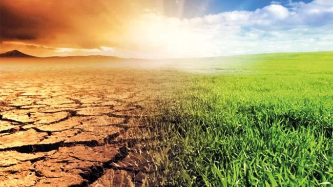 İklim Kanunu’nda sigorta detayı | Ekonomi Haberleri