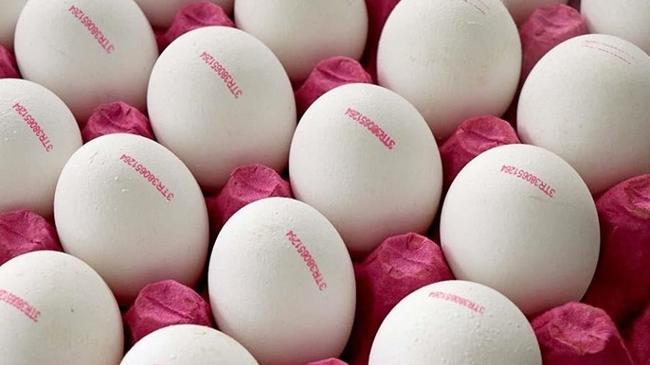 Yumurta satışında yeni dönem! Resmen yürürlükte | Ekonomi Haberleri