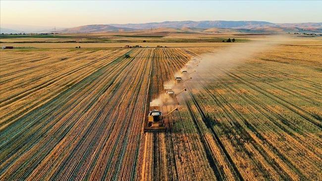 Tarımsal girdi fiyat endeksi mayısta arttı | Ekonomi Haberleri