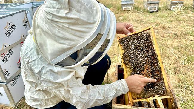 Coğrafi işaretli Munzur balına Londra’da altın madalya | Genel Haberler