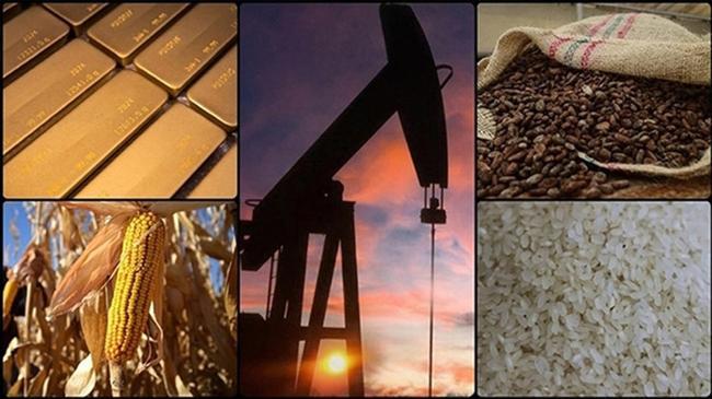 Emtiada oynaklık arttı, altının zirve yürüyüşü başladı | Emtia Haberleri