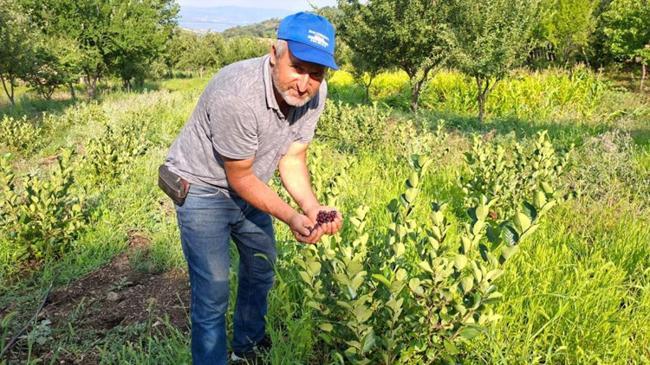 Arkadaş tavsiyesi ile başladı, şimdi kilosunu 200 TL'den satıyor