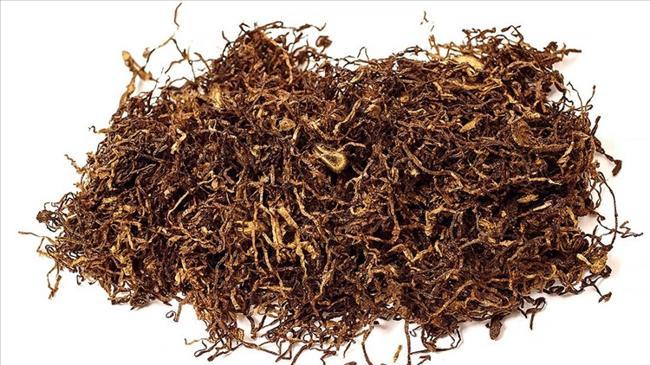 Tütün üretim ve ticaretinde yeni dönem! | Genel Haberler