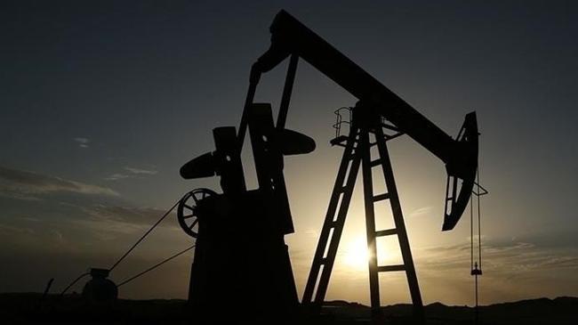 TPAO'nun Diyarbakır'daki petrol arama ruhsatı uzatıldı | Genel Haberler