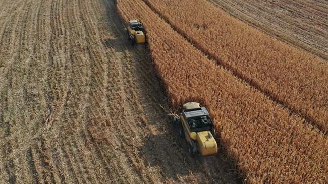 Yılın ilk 6 ayında çiftçilere 89,7 milyar ödeme yapıldı | Genel Haberler