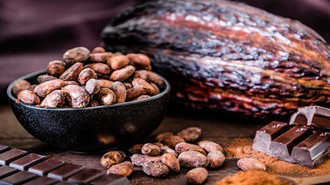 Bilim insanları mükemmel çikolatanın formülünü keşfetti | Teknoloji Haberleri