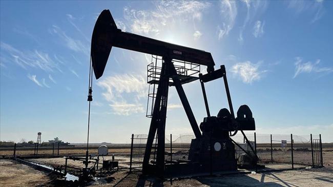 TPAO'nun bir ilde daha petrol arama ruhsatı uzatıldı | Genel Haberler