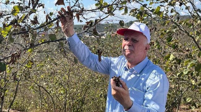 Bayraktar: Türkiye’nin bir çok ilinde kuraklık yaşıyoruz | Genel Haberler