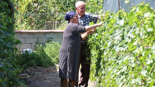 Döşek arasında Ukrayna'dan getirdiler, yiyenler dua ediyor! Cumhurbaşkanı Erdoğan'a minnettarız | Genel Haberler