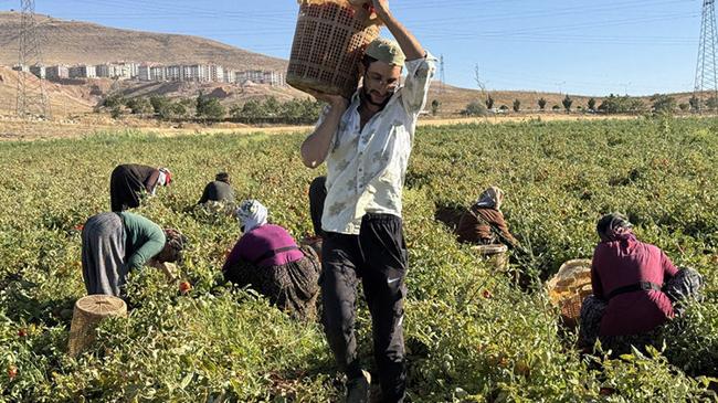 Göç ettiler, çadır kurdular, üretime başladılar! Tarladan Türkiye’ye | Kobi Haberleri