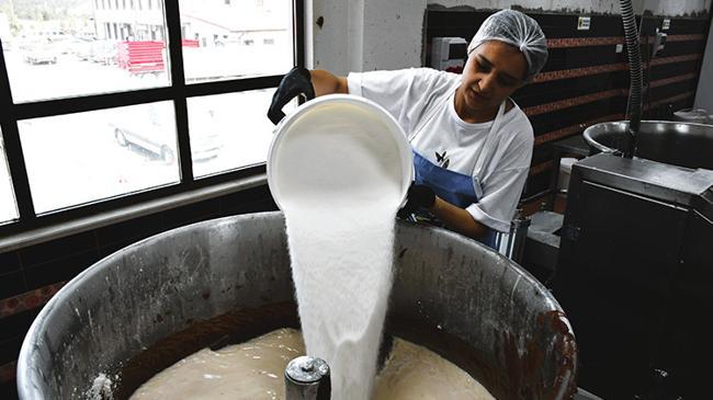 Coğrafi işaretli 'ayva lokumu' üretimine 100 kat artış! | Girişim Haberleri